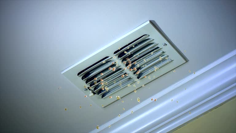 Best Best Air Duct Cleaning Company  in Fair Plain, MI